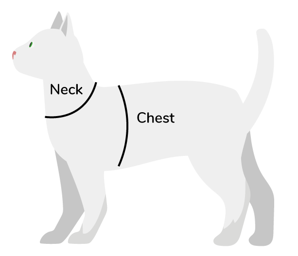 Website Pet Size Illustration