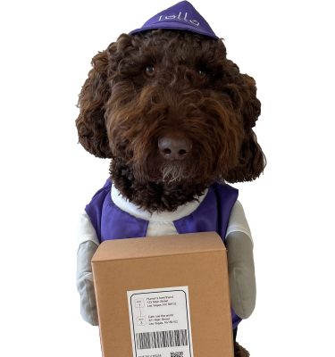 Rollo Pet Costume - Limited Edition
