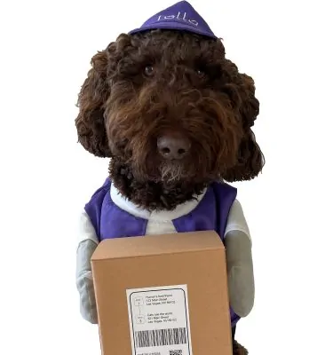 Rollo Pet Costume - Limited Edition