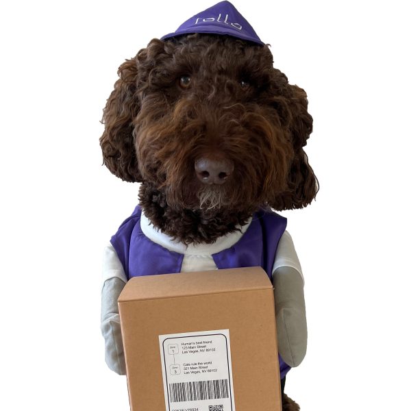 Rollo Pet Costume