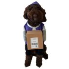 rollo-pet-2