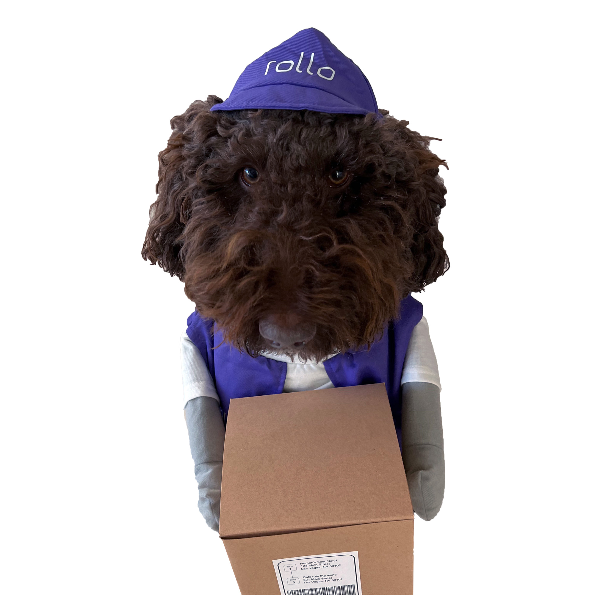 Rollo Pet Costume - Limited Edition 2 rollo pet 5 1